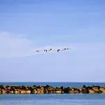 Κάμπινγκ Fontana Marina Family Village *