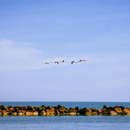 Campeggio Fontana Marina Family Village *