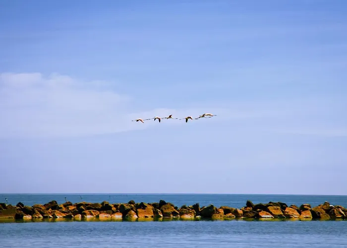 Κάμπινγκ Fontana Marina Family Village *